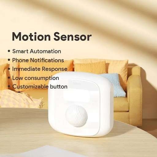 Motion Sensor